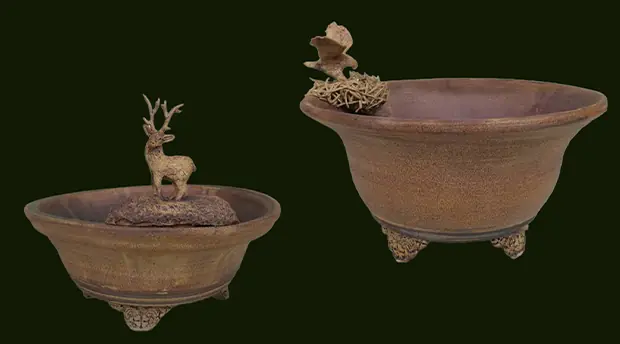 Bonsai Care Supplies Bonsai Care Supplies